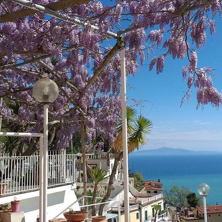 Le Terrazze Di Cristina Bed & Breakfast Vietri Bagian luar foto
