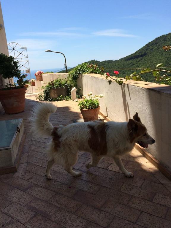 Le Terrazze Di Cristina Bed & Breakfast Vietri Bagian luar foto