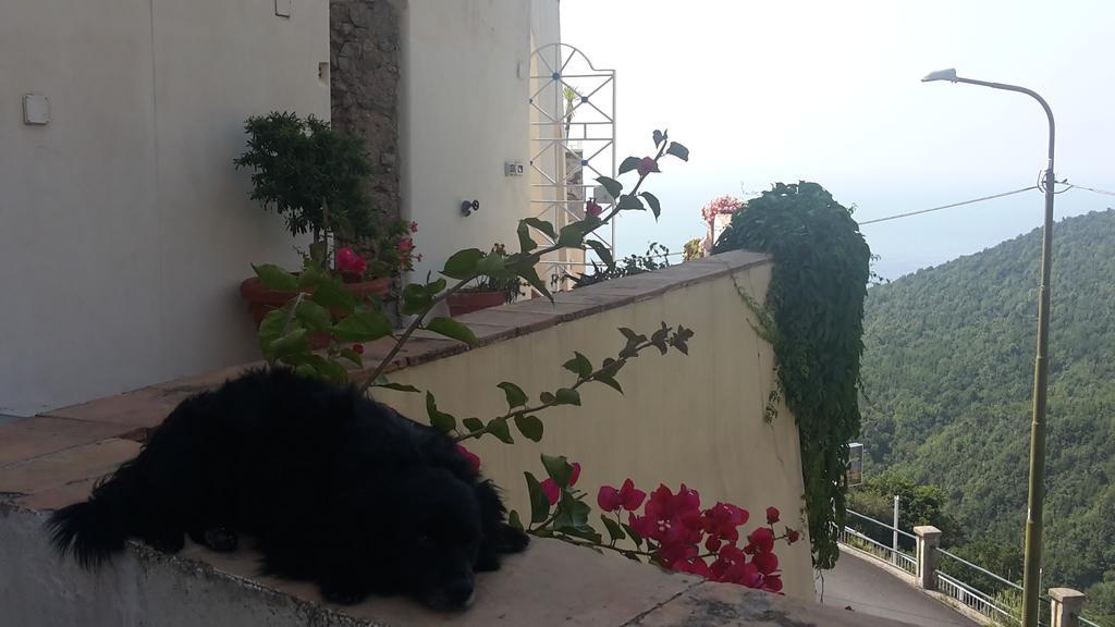 Le Terrazze Di Cristina Bed & Breakfast Vietri Bagian luar foto