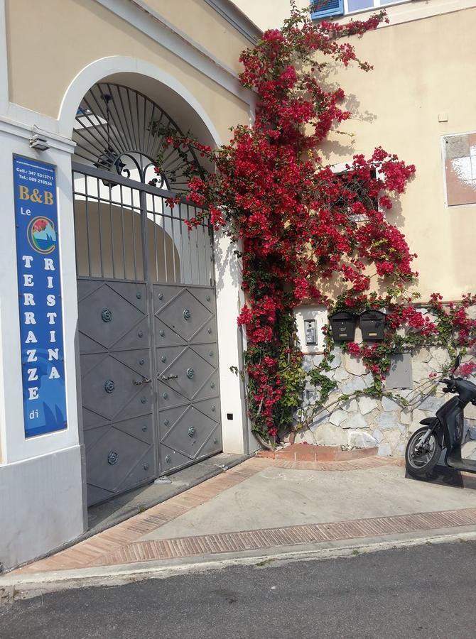 Le Terrazze Di Cristina Bed & Breakfast Vietri Bagian luar foto