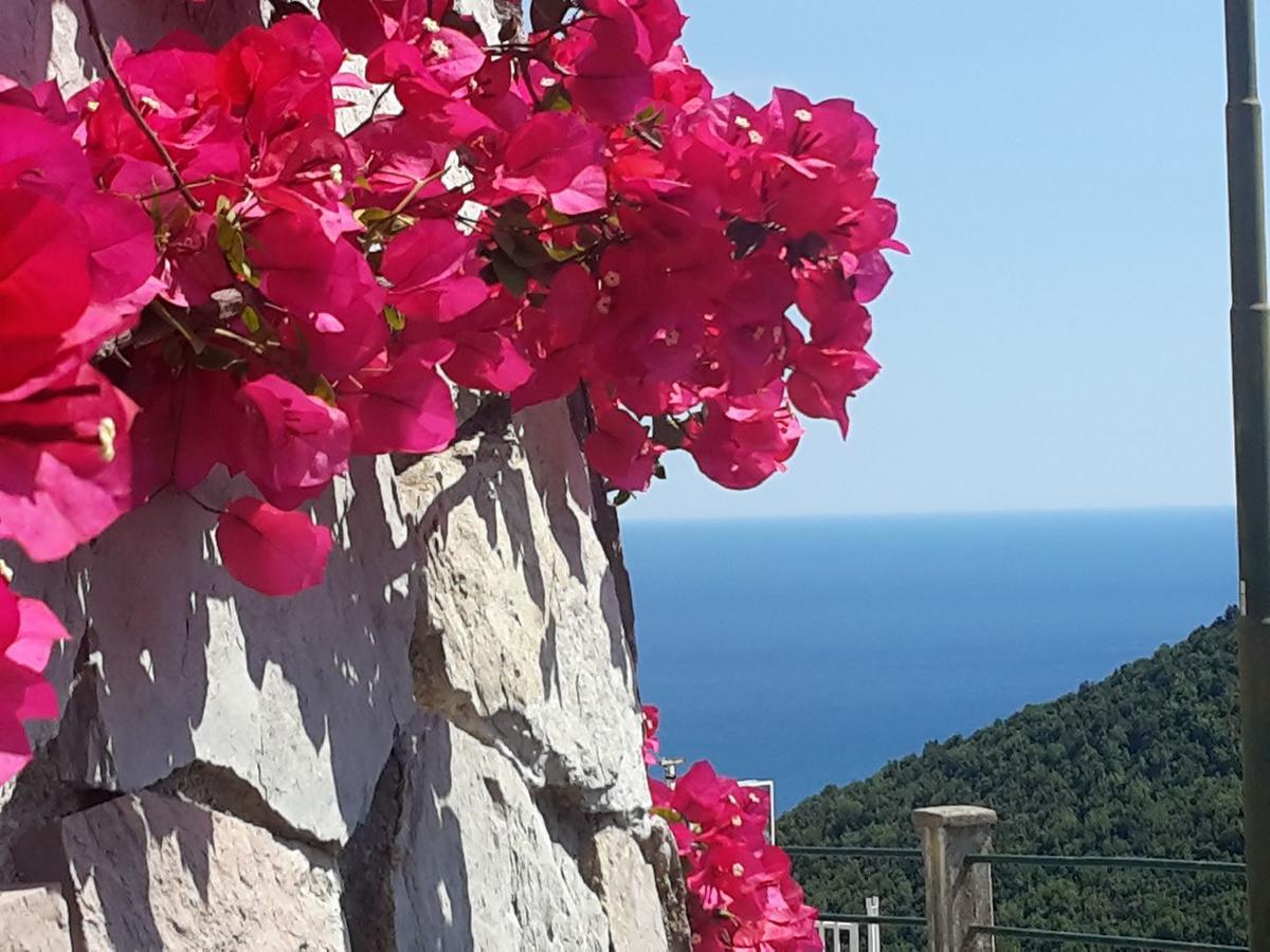 Le Terrazze Di Cristina Bed & Breakfast Vietri Bagian luar foto