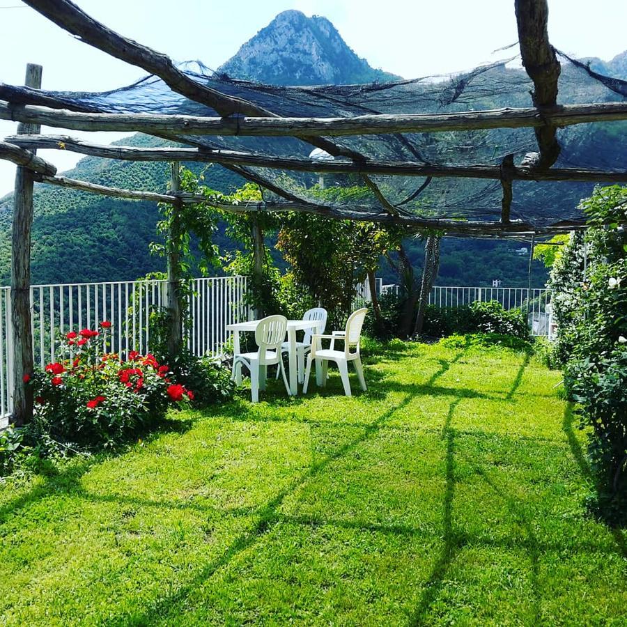 Le Terrazze Di Cristina Bed & Breakfast Vietri Bagian luar foto