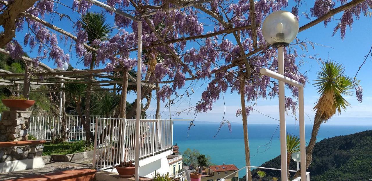 Le Terrazze Di Cristina Bed & Breakfast Vietri Bagian luar foto
